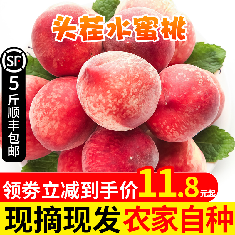 京津冀38包邮