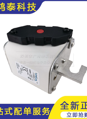 全新 170M6253 低压快速熔断器 保险管   熔丝   质量保证