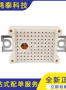 FS30R06W1E3 IGBT模块 晶闸管可控硅功率模块 电子元器件