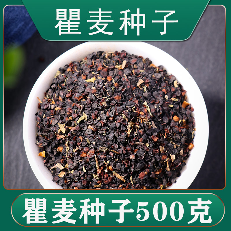 瞿麦散装五彩石竹四季阳台种籽