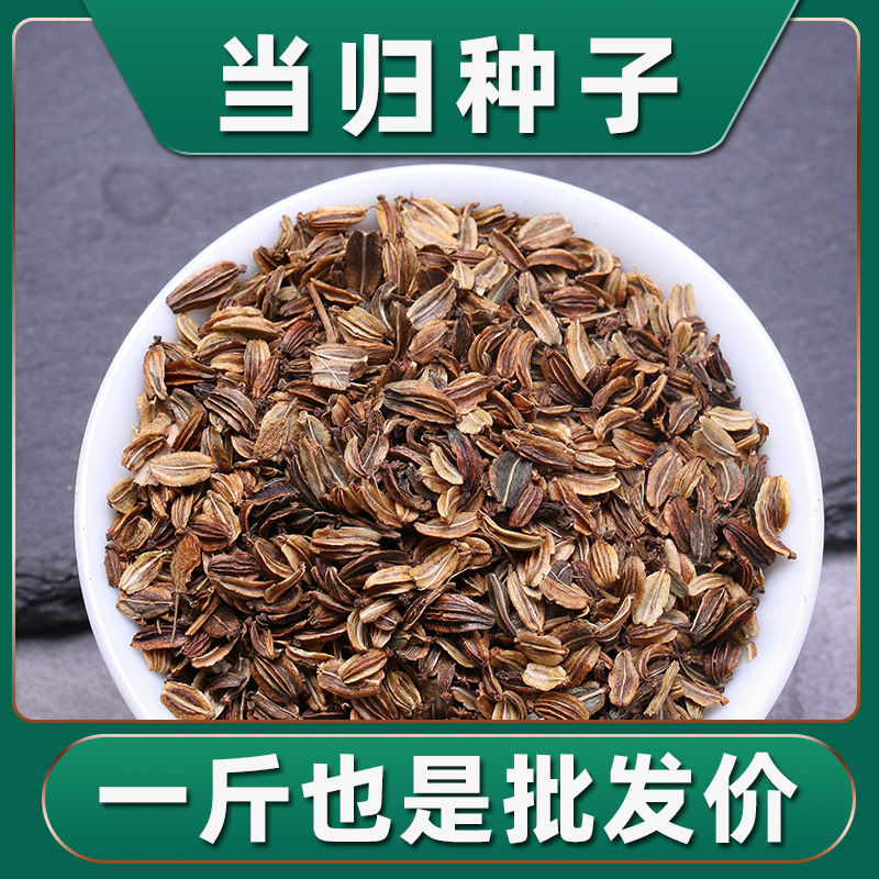 当归种籽新产散装优质中药材当归种子种植苗盆栽苗春季秋季播种