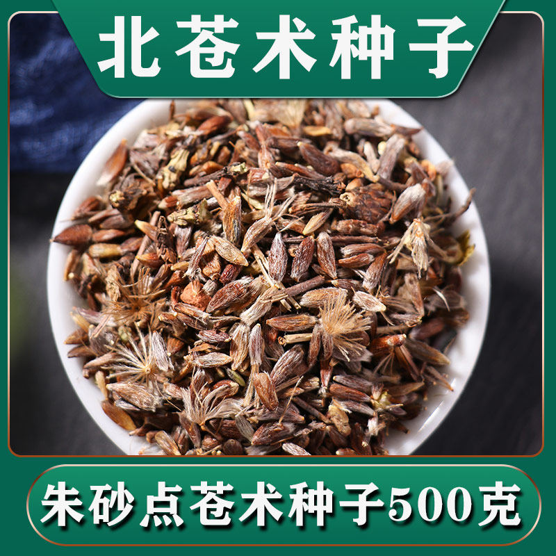 苍术种子中药材朱砂点北苍术种球籽春季秋季散装中草药种子苗盆栽