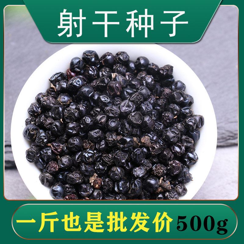 射干种籽优质散装国产中药材种子春秋季播种观赏草药籽盆栽苗