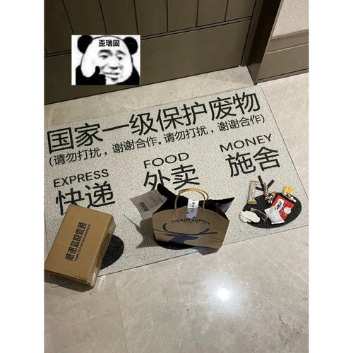 快递外卖放门口地垫施舍入户门户外丝圈地毯2024新款蹭土免洗脚垫