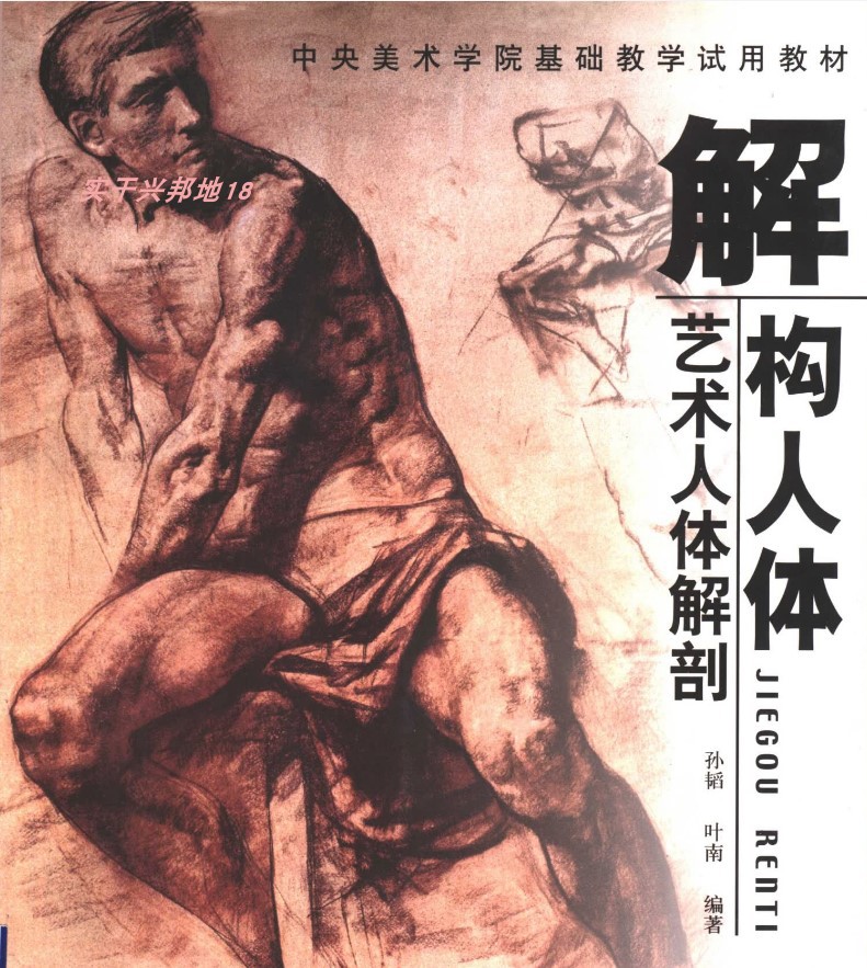 解构人体 艺术人体解剖  11586165pdf软件电子版素材