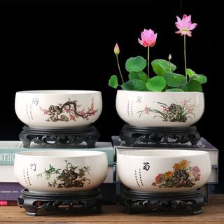 水培花盆陶瓷铜钱草一叶莲碗莲金钱草睡莲水莲花巴西木多肉大号盆