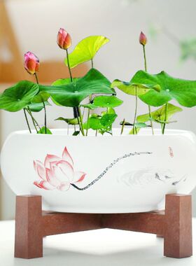 【碗莲盆】水莲花盆水培水仙大口径陶瓷家用铜钱草一叶莲养鱼池专