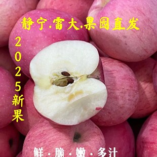 静宁红富士苹果3/5斤新鲜水果冰糖心甘肃特产脆甜皮薄多汁