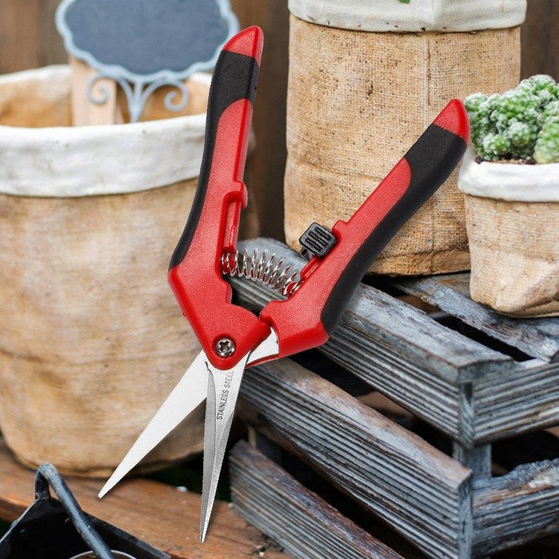 阳江直销不锈钢修枝剪刀 园林工艺剪刀 鲜花摘果剪刀,居家日用,园艺刀剪,淘宝优惠券,粉丝福利购,淘宝优惠卷