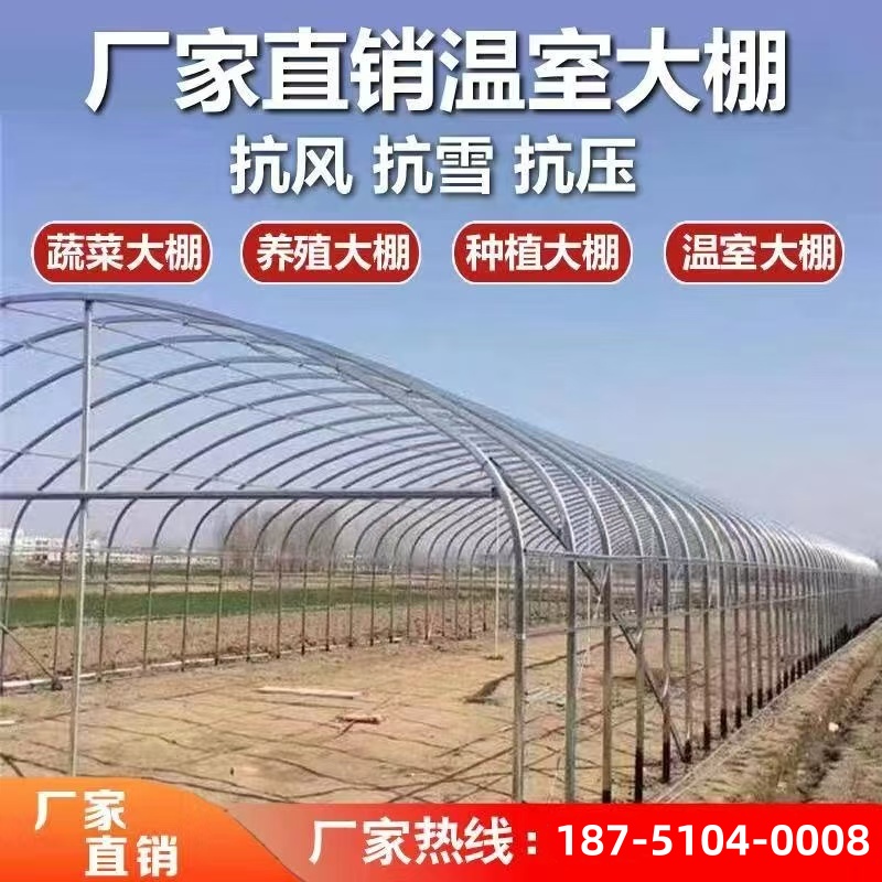 大棚骨架钢管蔬菜养殖种植简易薄膜温室连动大棚椭圆管花卉圆管棚