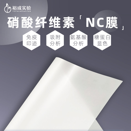亲水性用于免疫印迹适配范围广