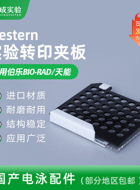 伯乐bio-rad 天能 转膜夹 转印三明治转移夹 国产电泳配件 电转夹 实验转印夹板 1703931