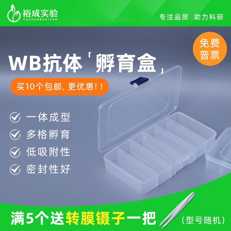 wb抗体孵育盒单格/5格/6格可选图片