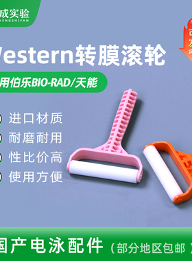 Western Blot 转膜滚筒 转膜气泡滚 滚轮 转膜赶气泡工具 Western Roller