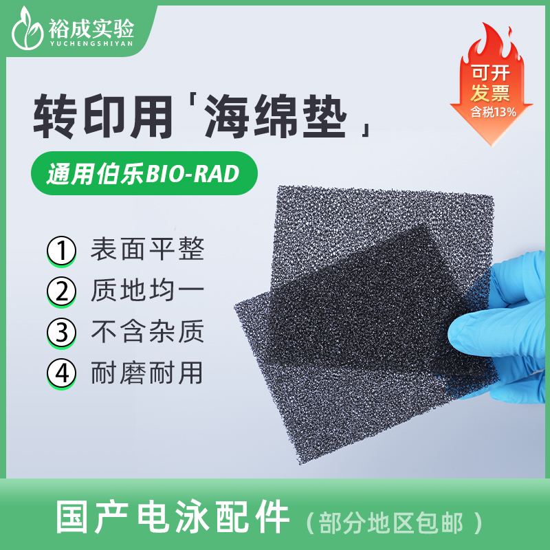 Western blot 湿转 转印海绵垫转印棉转膜槽海绵衬垫 Foam Pad 多孔垫适用伯乐天能105*85mm  1703933 文具电教/文化用品/商务用品 教学仪器/实验器材 原图主图