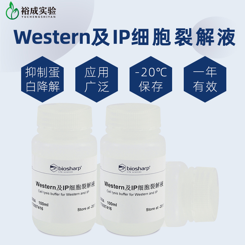 白鲨抑制蛋白降解应用广泛