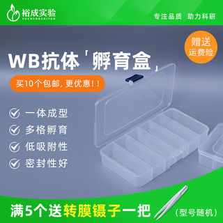 western blot 抗体孵育盒 黑色避光 洗膜盒 脱色盒 染色盒 抗体小盒 封闭盒 单格/5格/6格 免疫组化湿盒