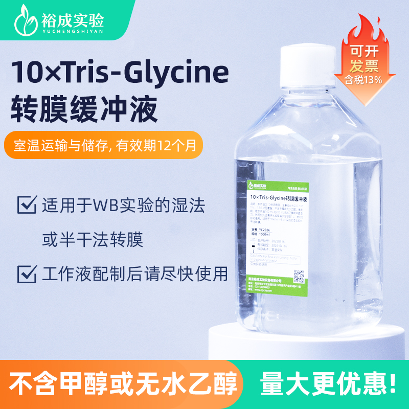 裕成实验YC202610倍浓缩转膜液