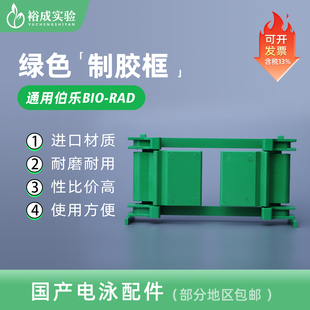 小型垂直电泳制胶框 bio 制胶架 310426 伯乐 原装 可通用 绿色制胶框 夹胶框 rad