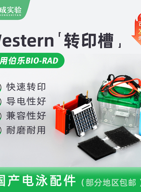 通用bio-rad伯乐 小型转印（湿转）电泳仪 转印槽 转膜电转电泳槽 转印海绵 冰盒 转印电极芯 1703930