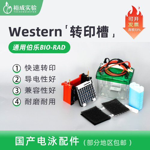 bio-rad伯乐转印海绵冰盒电泳仪