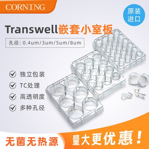 corning康宁6孔细胞小室