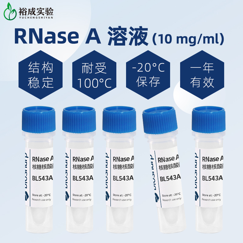 白鲨结构稳定耐受100°C高温