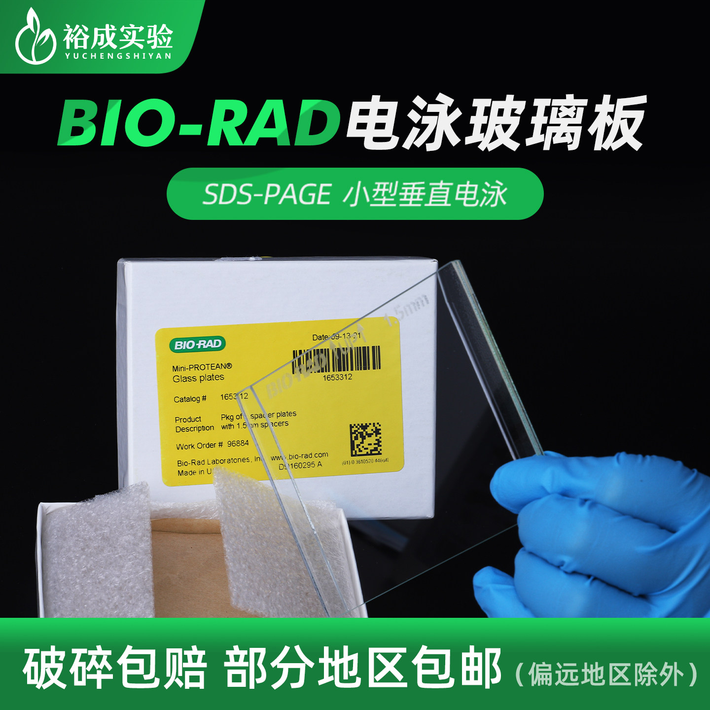 裕成实验Western Blot玻璃短板WB电泳厚玻璃板长板通用伯乐Bio-Rad1653308 1653310 1653311 1653312