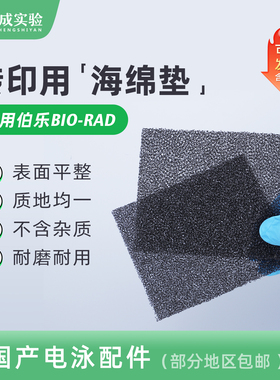 Western blot 湿转 转印海绵垫转印棉转膜槽海绵衬垫 Foam Pad 多孔垫适用伯乐天能105*85mm  1703933