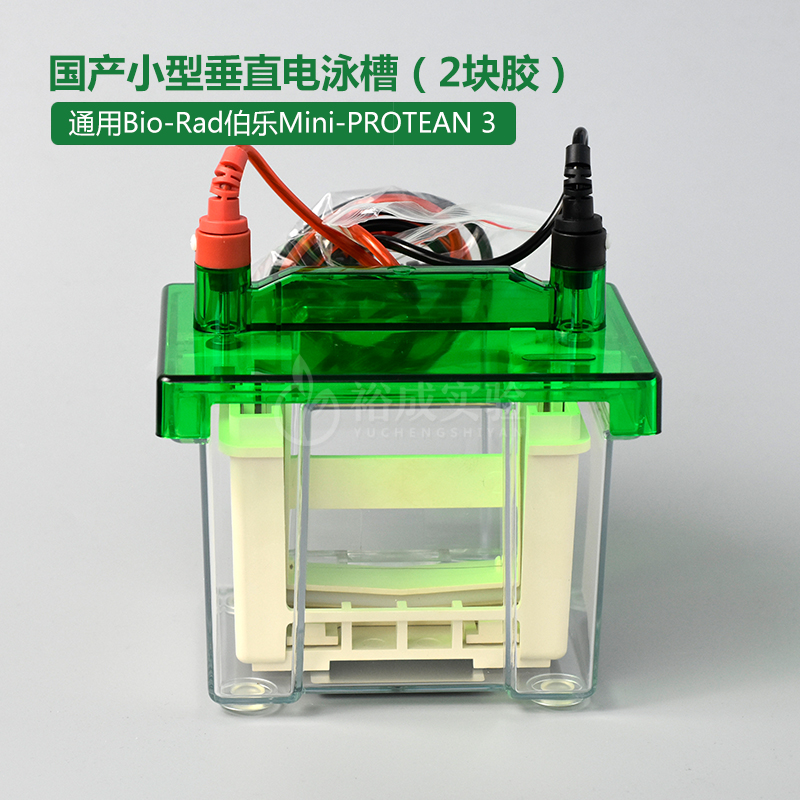 小型垂直电泳槽  通用Bio-Rad伯乐Mini-PROTEAN 3 蛋白槽 含制胶系统 电泳槽 电极芯 国产配件