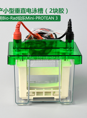 小型垂直电泳槽  通用Bio-Rad伯乐Mini-PROTEAN 3 蛋白槽 含制胶系统 电泳槽 电极芯 国产配件