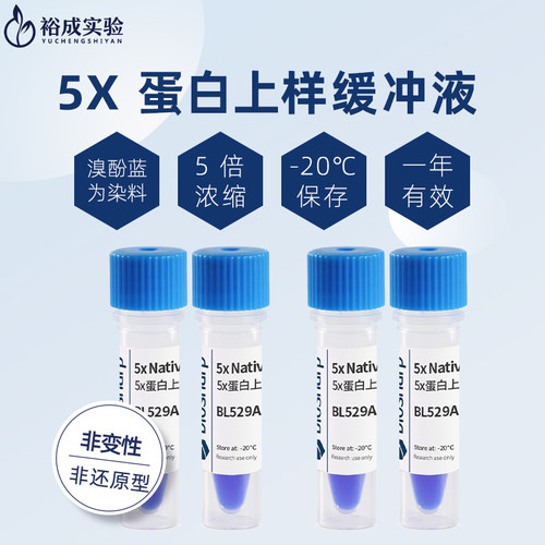 缓冲液溴酚蓝染料非变性非还原性