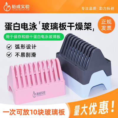 裕成实验WB蛋白电泳玻璃板架
