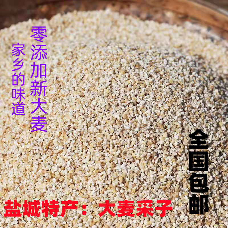苏北盐城特产五谷杂粮大麦碎子大麦糁大麦面大麦米杂粮米真空5斤