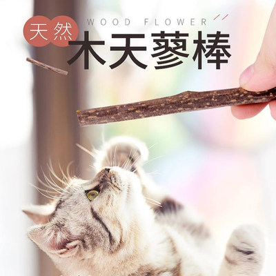 木天蓼磨牙棒耐咬猫咪玩的玩具逗猫棒自嗨解闷神器宠物小猫猫用品