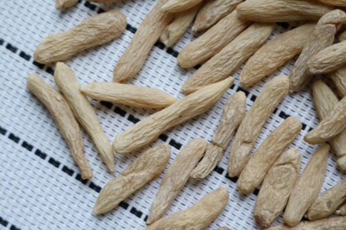 麦冬大粒无硫泡水原产地250g