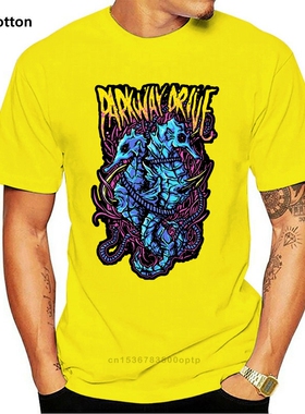 Mens T-Shirt Vintage Parkway Drive Tshirt Black