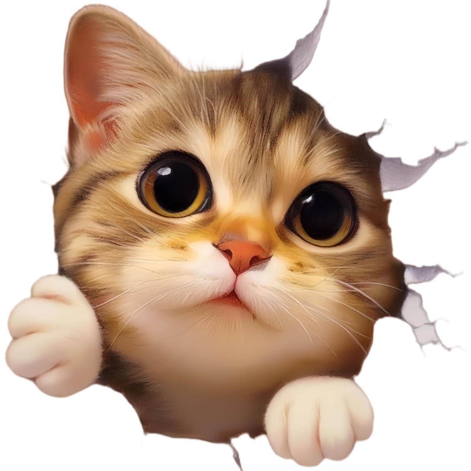 爆款可爱仿3D视觉创意猫咪贴画房间墙壁车身划痕遮瑕美化防水自粘,家居饰品,软装墙贴,淘宝优惠券,粉丝福利购,淘宝优惠卷