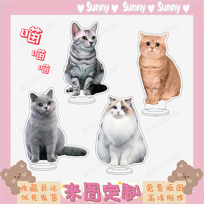 宠物家居摆件定制亚克力高清双面立牌布偶渐层英短