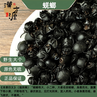 蜣螂中药材250g药用蜣螂野生整只圣甲虫 大将军 推粪虫 屎壳郎