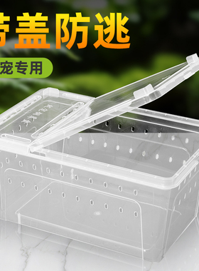 乌龟缸小型爬虫饲养盒蜘蛛角蛙蜗牛守宫爬宠箱养龟盆寄居蟹饲养缸
