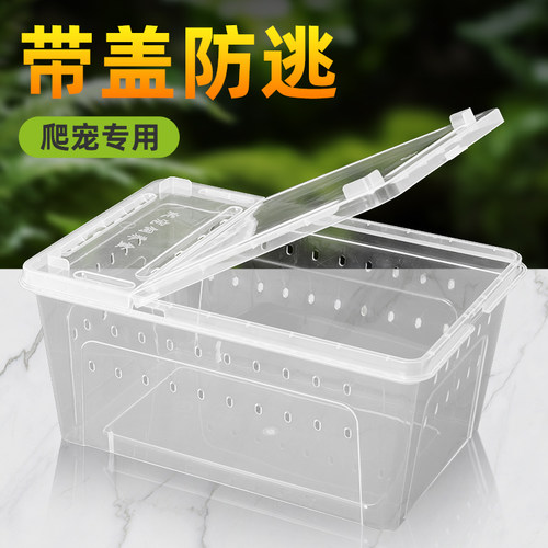 乌龟缸小型爬虫饲养盒养龟盆
