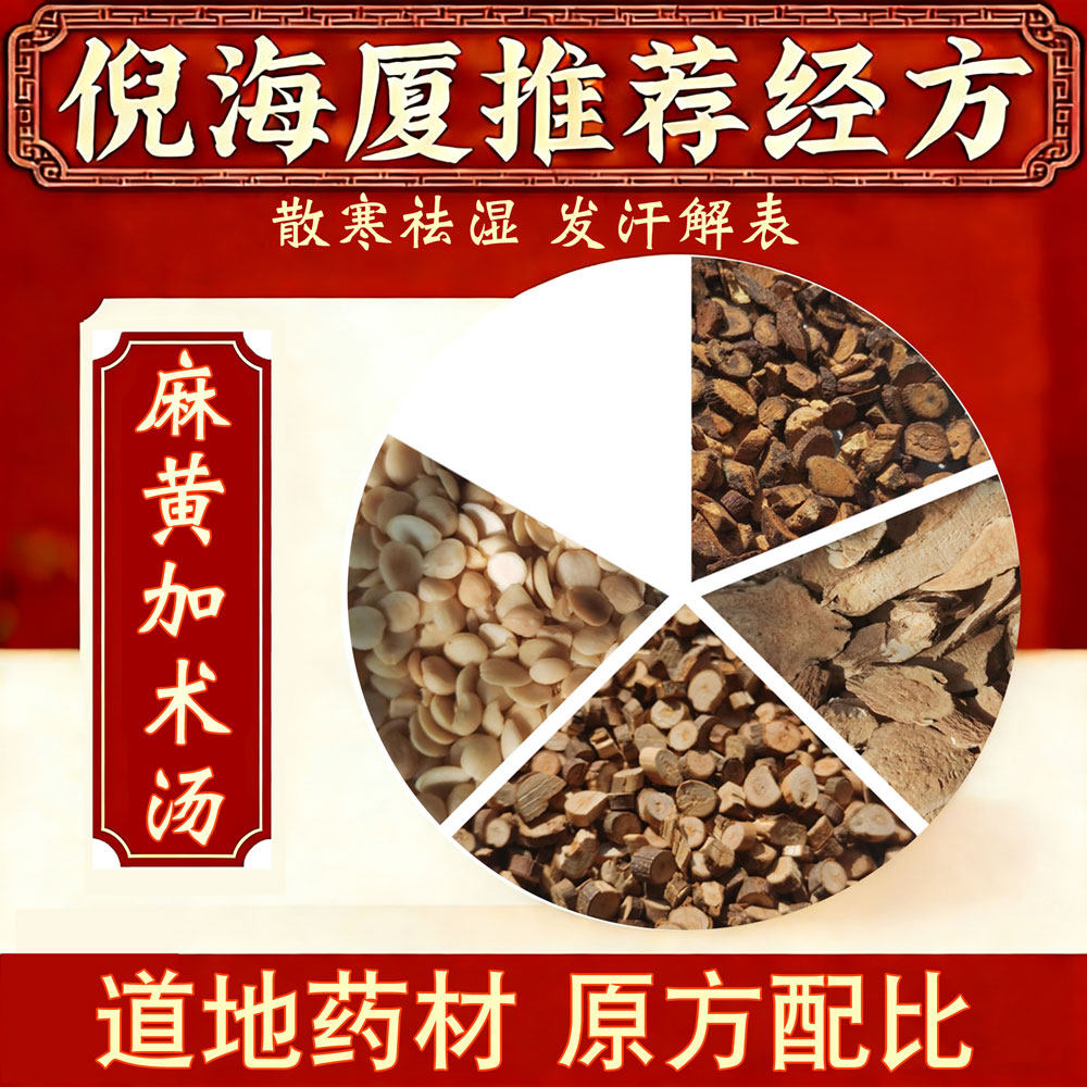 倪海厦荐 麻黄加术汤 道地无硫药材桂枝MH炙甘草杏仁白术散寒除湿