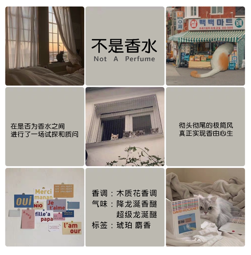 不是复仇电波白女巫小样香水
