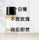 马蒂埃香水小样十日檀玛不败玫瑰悦后即焚阅后即焚巴黎麝馥玉晚香