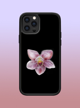 欧美风黑色背景兰花iPhone16pro手机壳适用苹果15promax防摔保护套14plus少女11/12/13