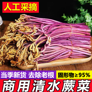 贵州土特产小吃深山新鲜清水蕨菜 5斤 凉拌泡菜龙爪菜商用袋装