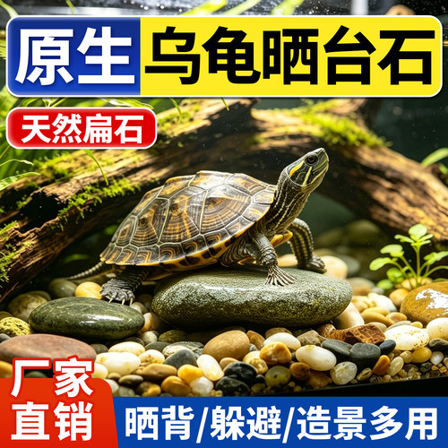 乌龟晒台天然原生鱼缸彩石造景鹅卵石乌龟缸扁平晒背爬台石头躲避