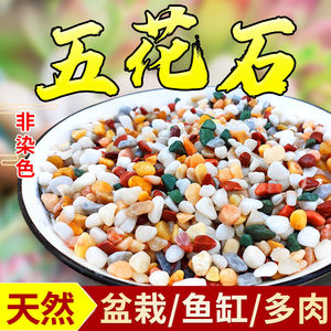 天然彩石多肉盆栽铺面石子鹅卵石鱼缸造景底砂种花装饰五彩小石头