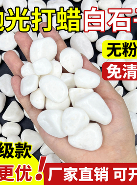 白色鹅卵石造景天然砾石颗粒装饰花园小石头抛光暖庭院白石子铺地